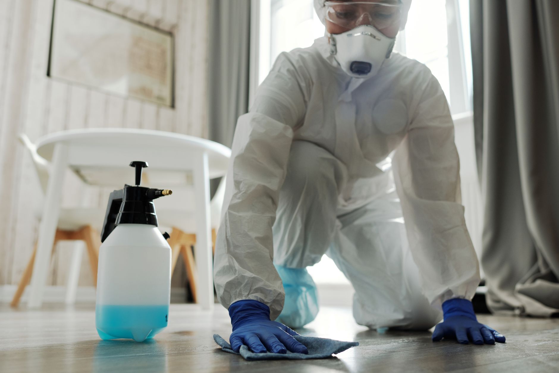 Rodent Removal — G M Pest Control